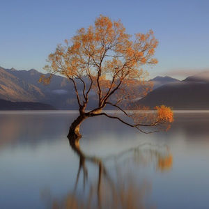 Meet your Posher, Krisha jane